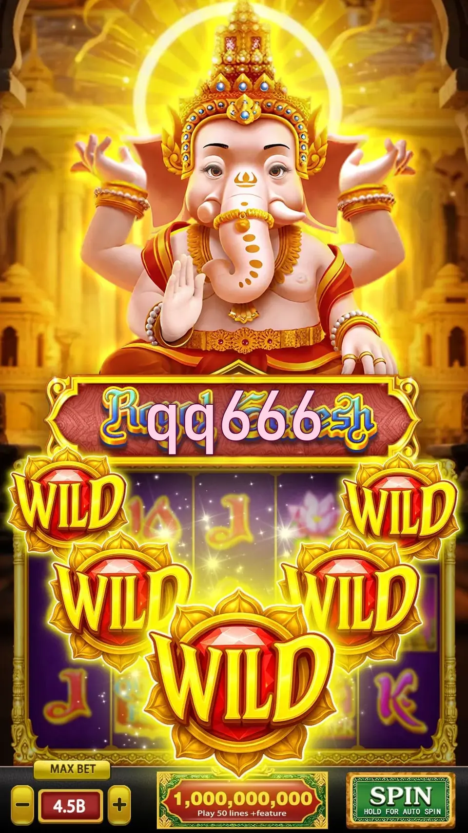 qq666 Mag-login